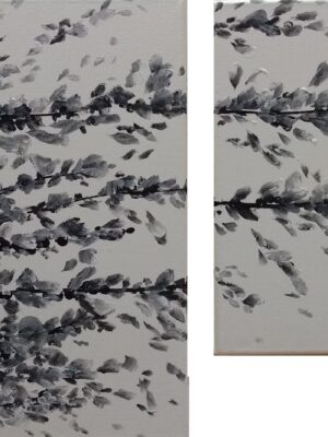 Petalos en blanco y negro (A11)