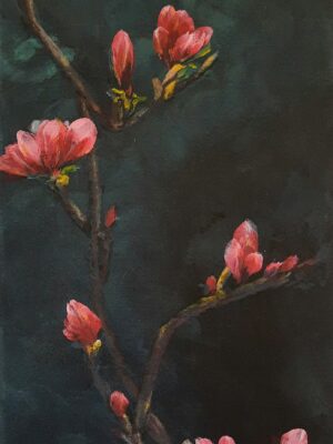 Comienzos de primavera (ar15)