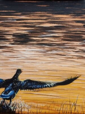 Vuelo en el lago (C19)